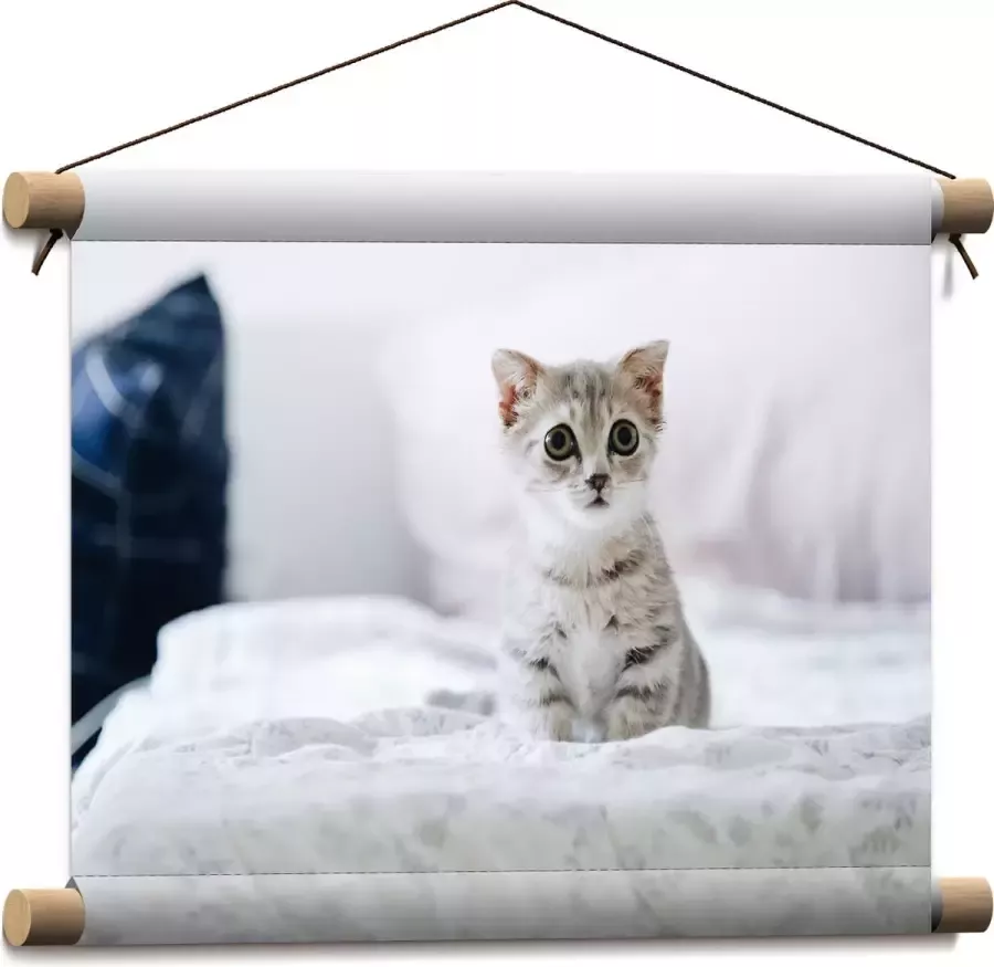 Textielposter Grijze Kitten met Donkere Contouren op Lichaam Zittend op Bed 40x30 cm Foto op Textiel