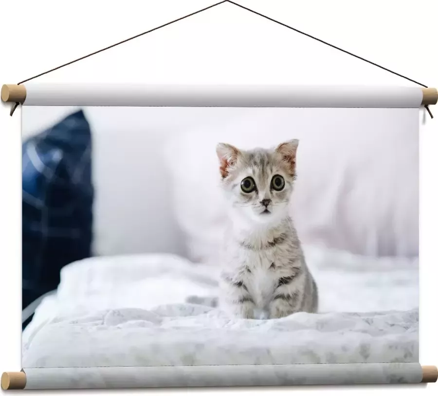 Textielposter Grijze Kitten met Donkere Contouren op Lichaam Zittend op Bed 60x40 cm Foto op Textiel