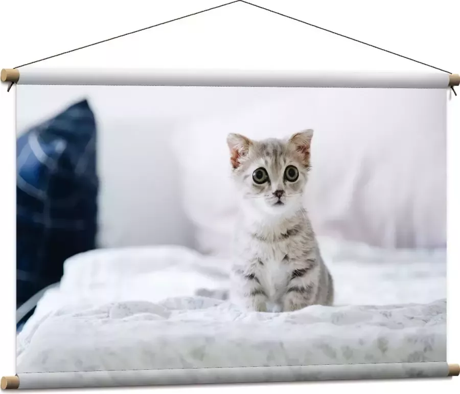 Textielposter Grijze Kitten met Donkere Contouren op Lichaam Zittend op Bed 90x60 cm Foto op Textiel