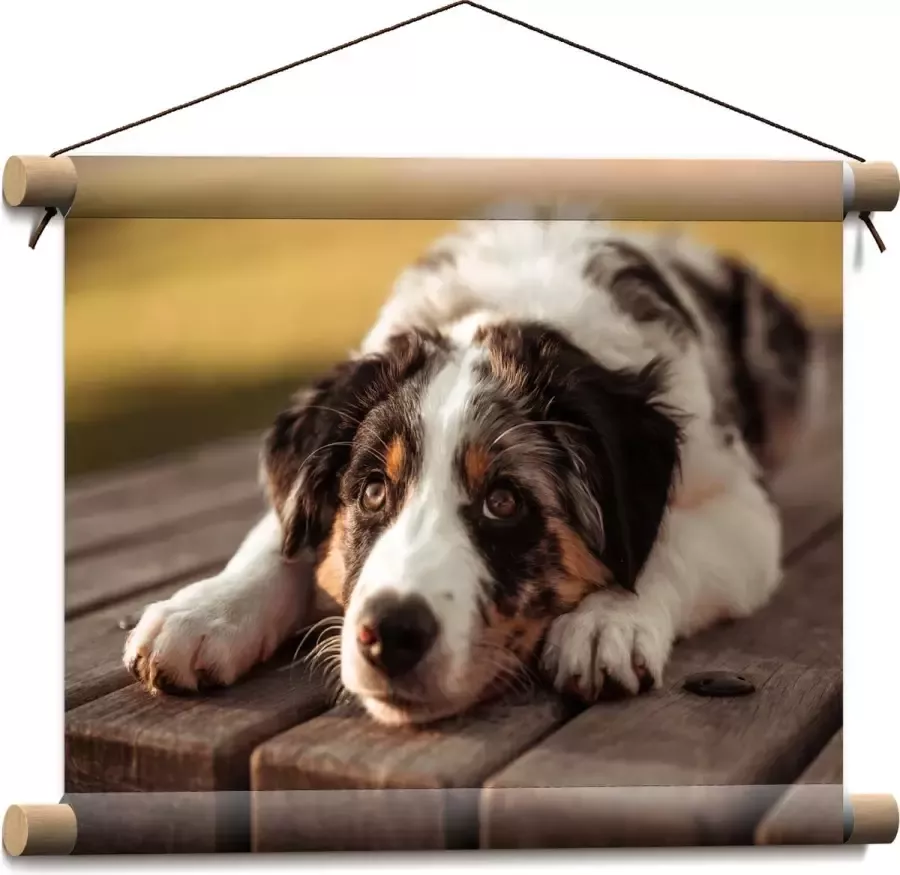 Textielposter Liggende Zwart met Witte Hond op Houten Picknicktafel 40x30 cm Foto op Textiel