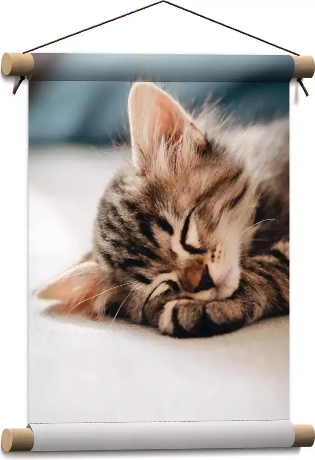 Textielposter Rustende Kitten op Bank 30x40 cm Foto op Textiel