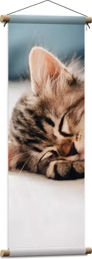 Textielposter Rustende Kitten op Bank 30x90 cm Foto op Textiel