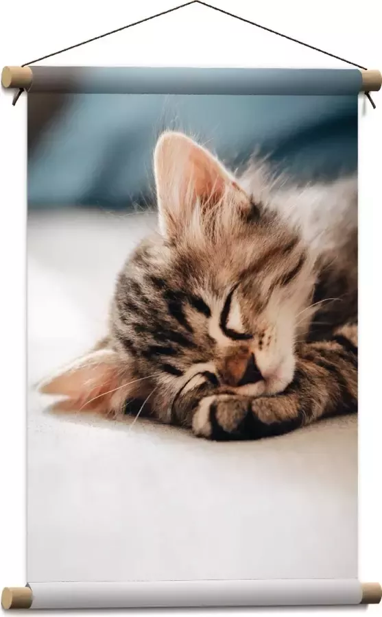 Textielposter Rustende Kitten op Bank 40x60 cm Foto op Textiel