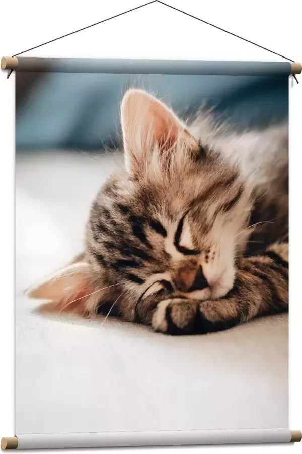 Textielposter Rustende Kitten op Bank 60x80 cm Foto op Textiel