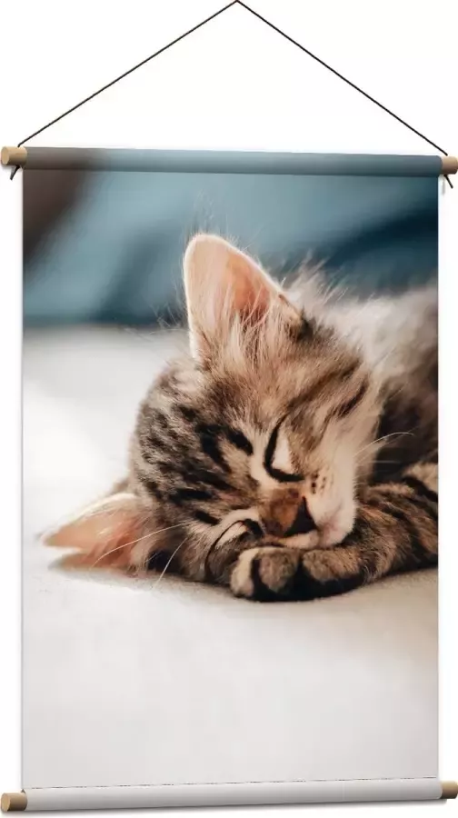 Textielposter Rustende Kitten op Bank 60x90 cm Foto op Textiel