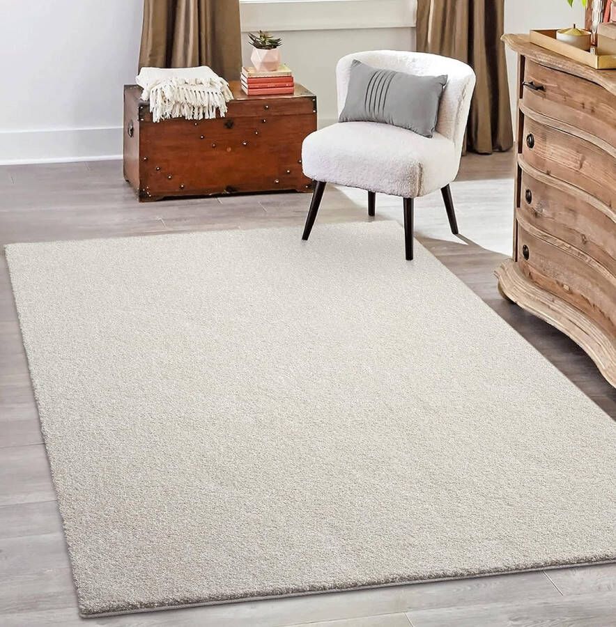 The carpet Grande Modern Pluizig Kortpolig Woonkamerkleed Superzacht aanvoelend Elegant en Onderhoudsvriendelijk 160x230