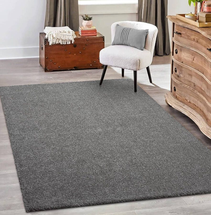 The carpet Grande Modern Pluizig Kortpolig Woonkamerkleed Superzacht aanvoelend Elegant en Onderhoudsvriendelijk 140x200