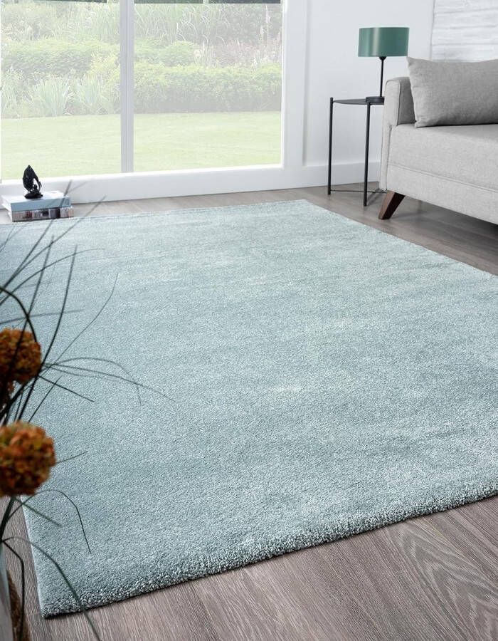 The carpet Grande Modern Pluizig Kortpolig Woonkamerkleed Superzacht aanvoelend Elegant en Onderhoudsvriendelijk 160x160 round