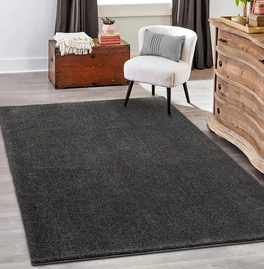 The carpet Grande Modern Pluizig Kortpolig Woonkamerkleed Superzacht aanvoelend Elegant en Onderhoudsvriendelijk 080x150