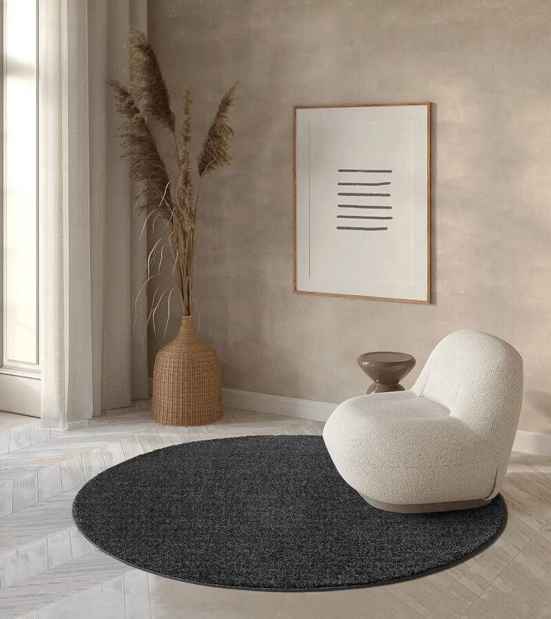 The carpet Grande Modern Pluizig Kortpolig Woonkamerkleed Superzacht aanvoelend Elegant en Onderhoudsvriendelijk 120x120 round - Foto 3