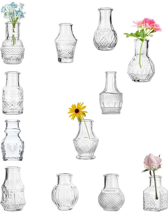 Transparante glazen vaas met schattige minivaasjes 12 stuks EylKoi-bloemen vintage klein glas klein in bulk verschillende vormen moderne set prachtig voor decoratie tafel bruiloft thuis diner feest