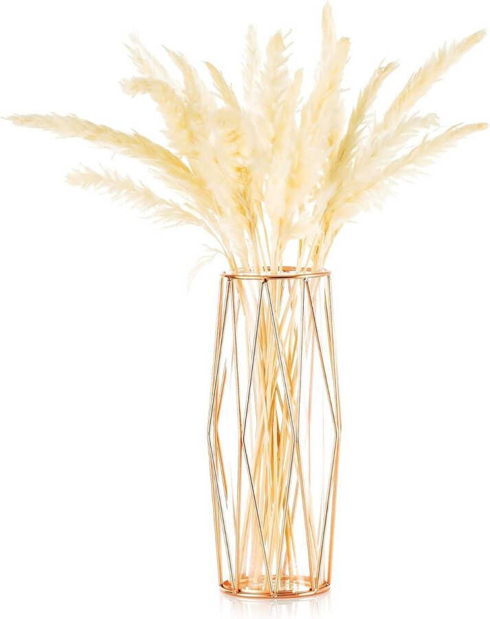 Vaas voor pampasgras glas roségoud vaas hoge vloervaas met geometrisch metalen frame knopbloempot voor Scandinavische decoratie voor bureau bruiloftsmiddenstuk 27 cm hoog