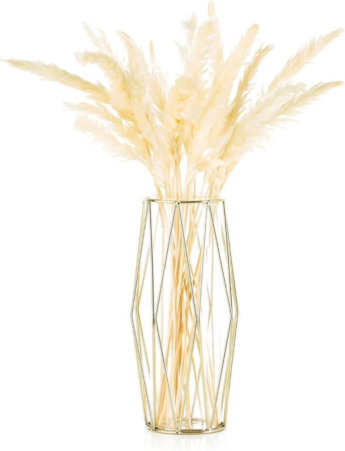 Vaas voor pampasgras glazen gouden vaas hoge vloervaas met geometrisch metalen frame knopbloempot voor Scandinavische decoratie voor bureau bruiloftsmiddenstuk 27 cm hoog