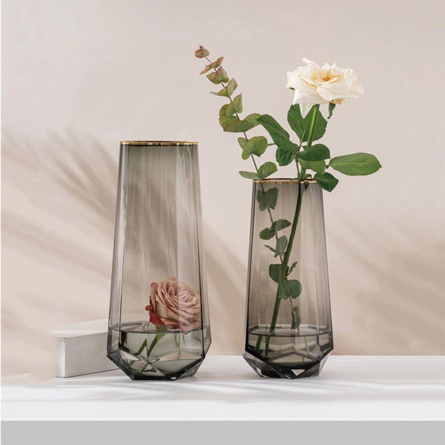 Vaas voor Pampasgras in Ins-stijl handgemaakte grijze glazen vaas decoratieve bloemen en gedroogde bloemen moderne bloemenvaas kristallen kegelvazen voor decoratie in de woonkamer kantoor eettafel keuken
