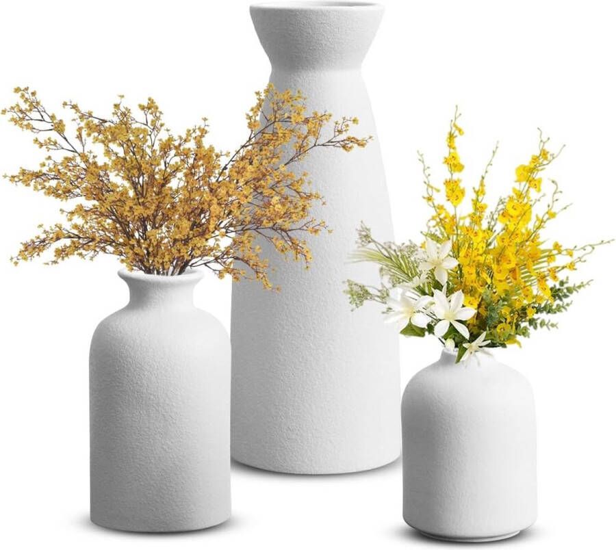 Vaas wit set van 3 keramische vazen voor pampasgras droogbloemen verse bloemen bloemenvaas decoratie voor woonkamer slaapkamer tafel kantoor eettafel boho Nordic minimalistische