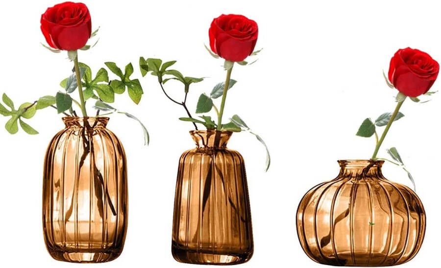 Vazen Set van 3 kleine bloemenvazen ​​van bruin glas Minivazen ​​Glazen flessen Modern Home Decor Vazen Decor voor tafel Midden Bruiloft Slaapkamer Doop Verjaardagscadeau voor Moederdag