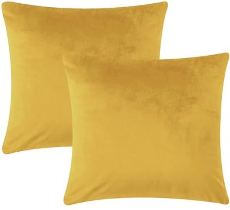 Velvet Kussenhoezen 45x45 cm Set van 2 met Onzichtbare Rits – Perfect voor Slaapkamer Bank en Auto