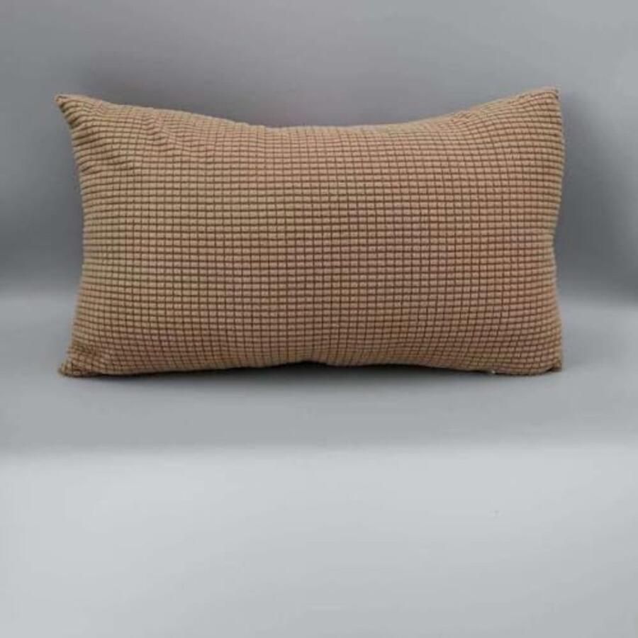 Velvet Kussenhoezen 60x90 cm Set van 2 Decoratieve Kussenhoezen voor Sofa en Bank