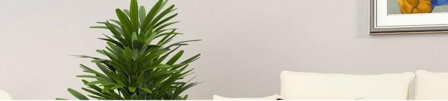 The Living Store Salontafel 80x80x36 5 cm bewerkt hout grijs sonoma eikenkleurig Salontafel Bijzettafel Grijze Salontafel Houten Salontafel Moderne Salontafel