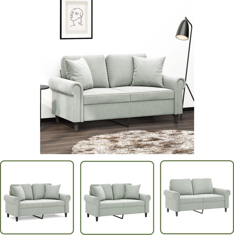 The Living Store Luxe 2-Zitsbank Fluweel Lichtgrijs 152x77x80 cm Stabiel Metalen Frame Tweezitsbank Fluweelbank Luxe Bank Grijze Bank Bankstellen
