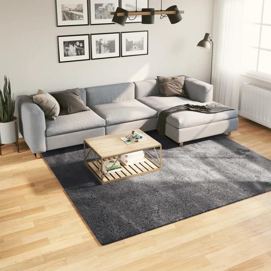 The Living Store Vloerkleed HUARTE laagpolig zacht wasbaar 240x240 cm antraciet Vloerkleed Huiskamer Slaapkamer Gang Kantoor