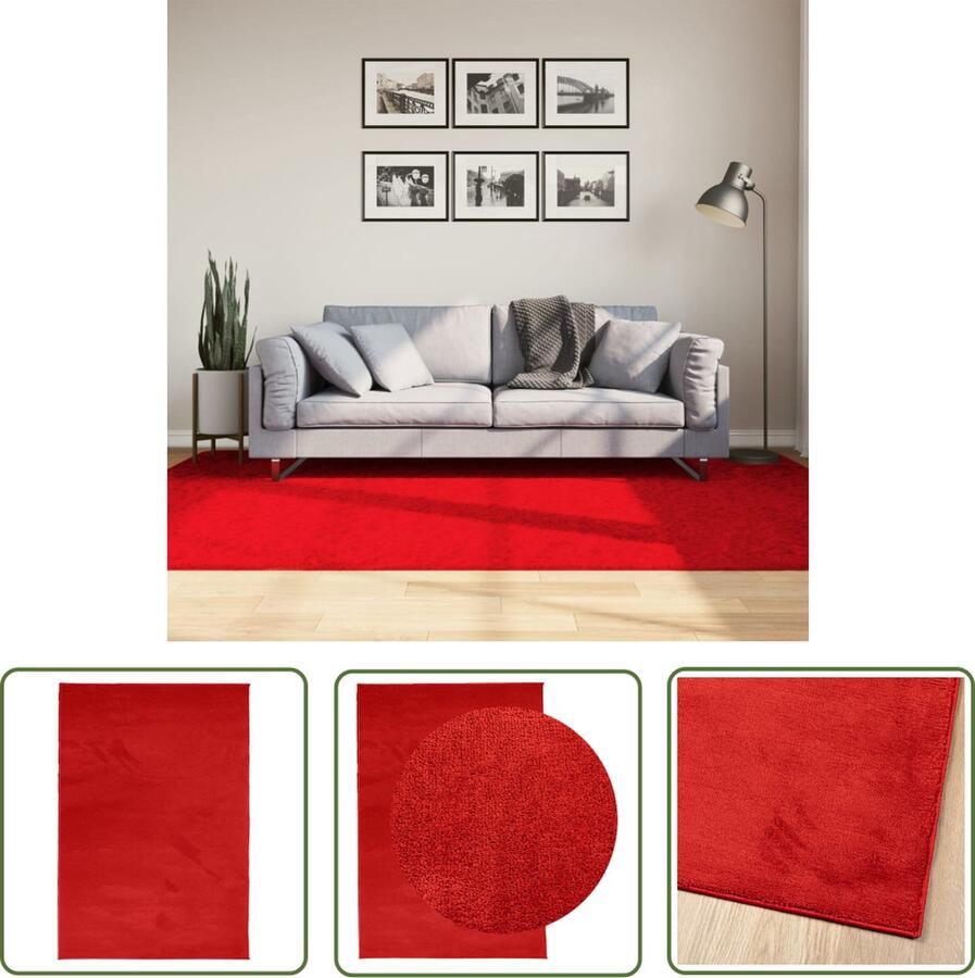 The Living Store OVIEDO Vloerkleed 160 x 230 cm Superzachte textuur Vloerkleed Tapijt Woonkamertapijt Slaapkamertapijt Rode Vloerkleed