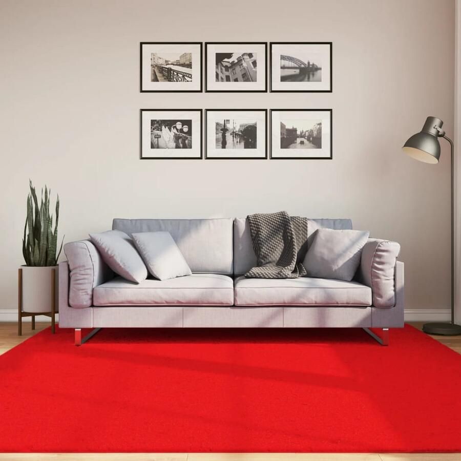 The Living Store OVIEDO Vloerkleed 200 x 200 cm Rood 100% polyester STANDARD 100 door OEKO-TEX Vloerkleed Tapijt Woonkamertapijt Slaapkamertapijt Rood Vloerkleed