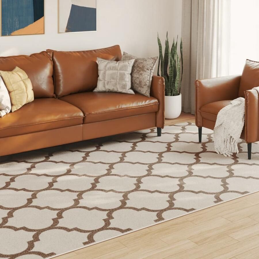 The Living Store Vloerkleed Sorona Dupont Indoor Outdoor 190 x 300 cm Meerkleurig Vloerkleed Tapijten Indoor Outdoor Bruin