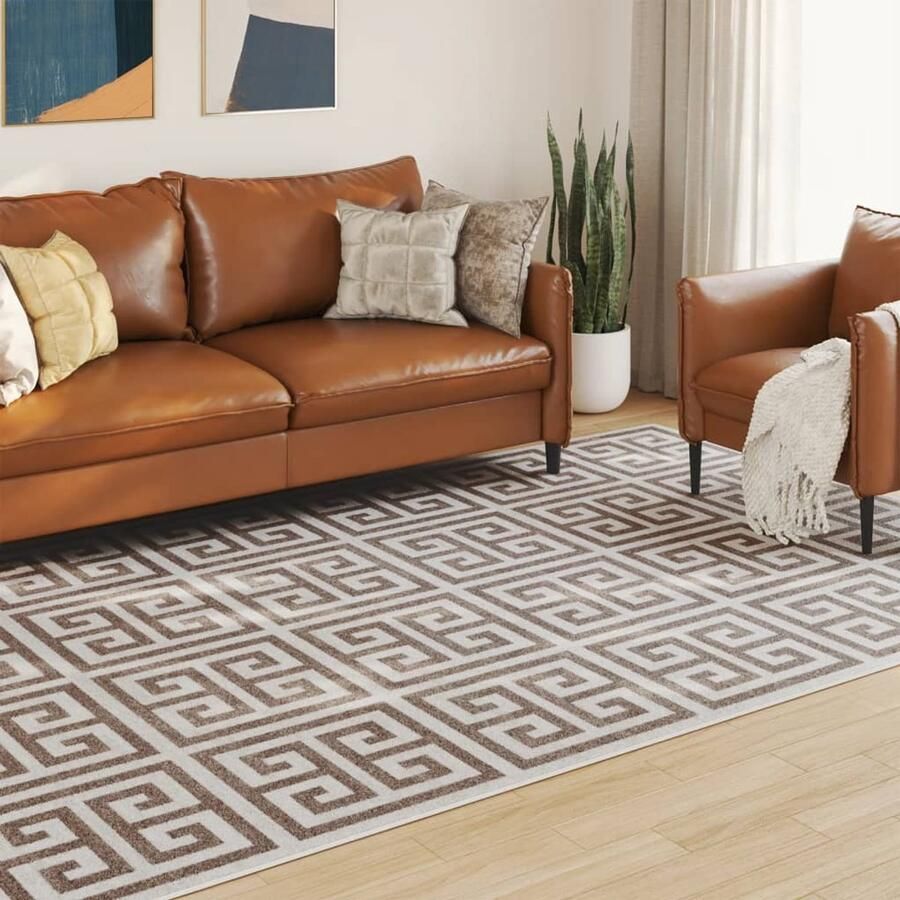 The Living Store Vloerkleed Binnen Buiten 190 x 300 cm Meerkleurig DuPont Polyester Anti-slip Vloerkleed Binnen Vloerkleed Buiten Tapijten Multifunctioneel Modern Vloerkleed Bruine Vloerkleed