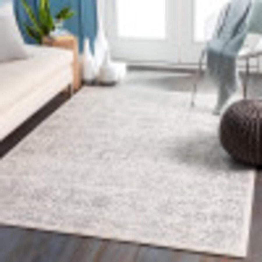 Vintage Palermo Surya vloerkleed neutraal chique 160 x 216 woonkamer hal slaapkamer Scandi traditioneel boho natuurlijk onderhoudsvriendelijk