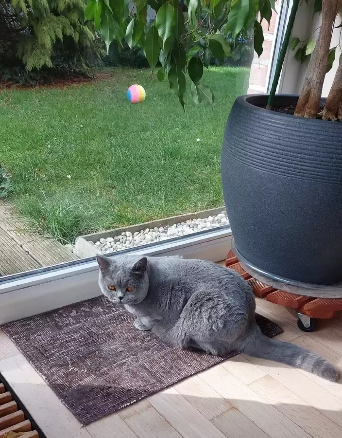 Vintage Patchwork Vloerkleed 40x60 donker bruin Klein vloerkleed Uniek handgemaakt Katoen Laagpolig Vloerkleed – Anti slip Tapijt Duurzame Natuurlijke Materialmen Loper voor in de gang keuken badkamer Cadeau Vrauw – Moederdag - Foto 2