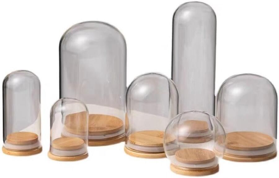 Vitrine glazen stolp met houten voet voor planten en decoratie