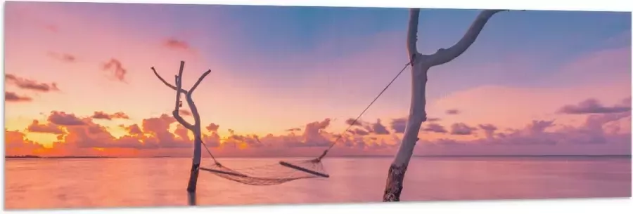 Vlag Hangmat tussen Kale Takken in de Zee tijdens Zonsondergang 150x50 cm Foto op Polyester Vlag