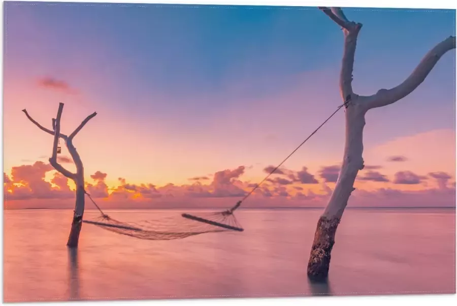 Vlag Hangmat tussen Kale Takken in de Zee tijdens Zonsondergang 75x50 cm Foto op Polyester Vlag