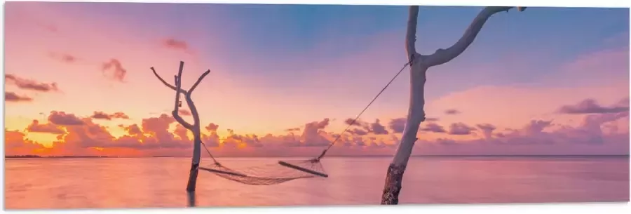 Vlag Hangmat tussen Kale Takken in de Zee tijdens Zonsondergang 90x30 cm Foto op Polyester Vlag