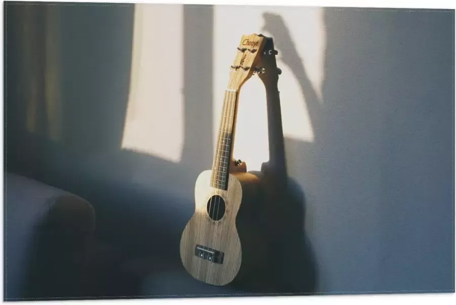 Vlag Houten Gitaar op Rand van Bank 75x50 cm Foto op Polyester Vlag