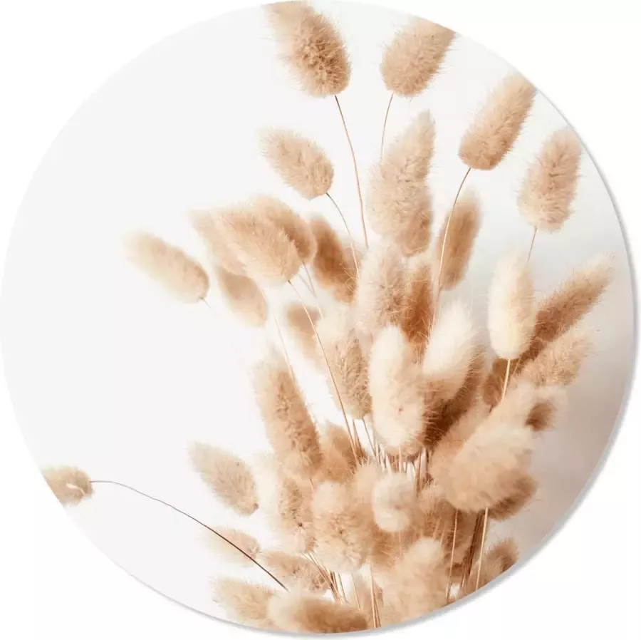 Vloercirkel Vloerzeil Vloerkleed 90X90 Hazenstaartjes Lagarus Zacht roze