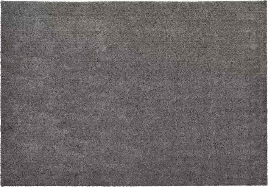 Vloerkleed 160x230 Kay Polyester Grijs 160 x 0 x 230 cm (BxHxD)