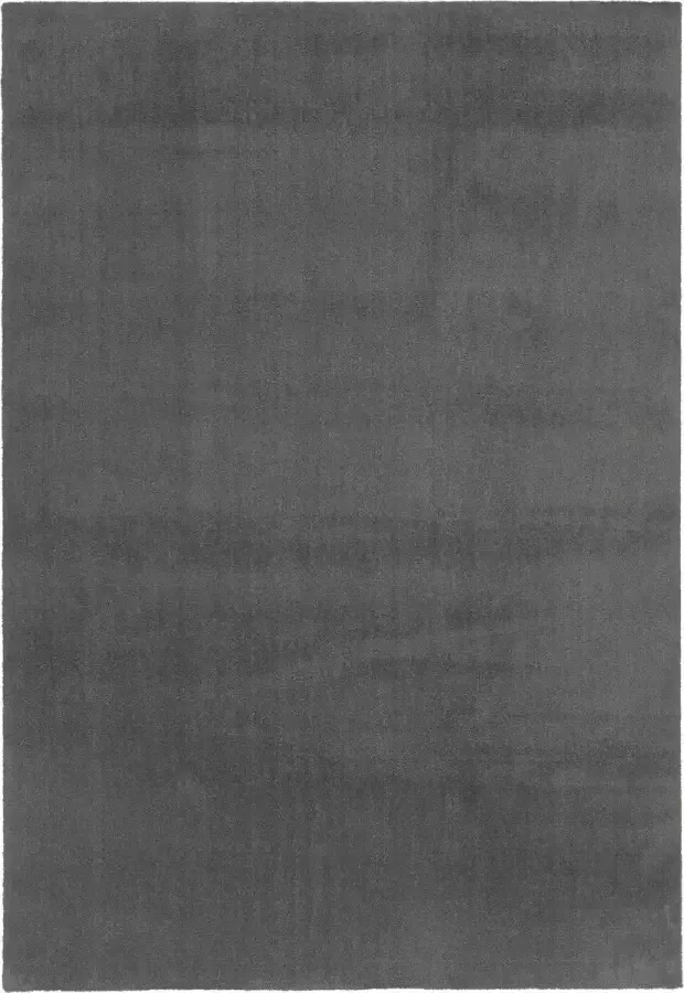 Dutch Lifestyle New York Polyester Vloerkleed 160x230 cm Grijs