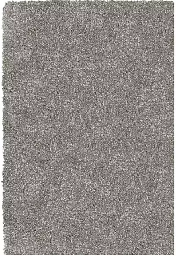 Dutch Lifestyle New York Polyester Vloerkleed 200x290 cm Grijs