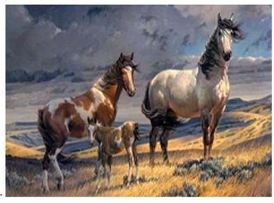 Vloerkleed paarden veulen antislip tapijt keukenkleed salontafel kleed woonkamer slaapkamer 120 x 160 cm