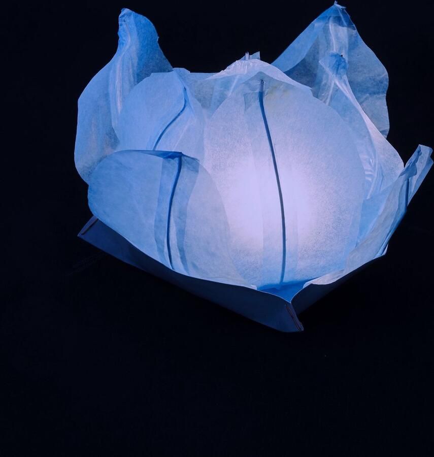 Volanterna – 10 Drijflantaarns in Bloemvorm – Blauwe Rijstpapieren Waterlantaarns – Voor Water of Tafel – Inclusief Waxinelichtje – diameter 30 cm opengevouwen 20 cm gevouwen