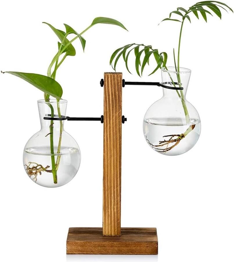 Voortplanting Station Met Houten Rek 2 Lamp Vintage Avocado Vaas Glazen Reageerbuis Vazen Voor Bloemen Acorn Plant Voor Thuis Tafel Bureau Indoor Decor