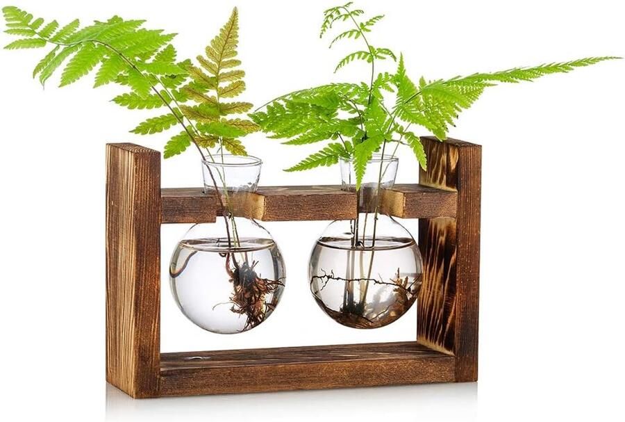 Voortplantingsstation 2 stuks bolle vaas glazen vaas voor bloemen terrarium vaas planter met houten rack standhouders voor groene water planten geschikt voor thuis keuken tafel bureau binnendecoratie