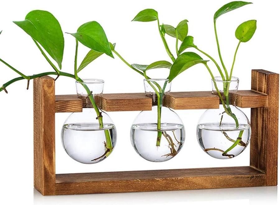 Voortplantingsstation 3 stuks bolle vaas glazen zoete erwt vaas voor bloemen terrarium vaas planter met houten rack standhouders voor groene waterplanten geschikt voor thuis keuken tafel bureau binnendecoratie