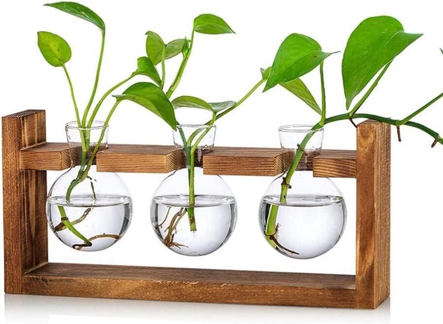 Propagation Station 3 Pcs Convex Vase Glass Sweet Pea Vase for Flowers Terrarium Vase Planter with Wooden Rack Stand Holders for Green Water Plants Suitable for Home Kitchen Table Desk Indoor
