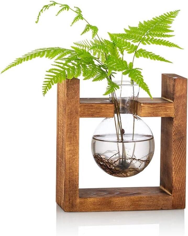Voortplantingsstation bolle vaas glazen vaas voor bloemen terrarium vaas planter met houten rack standhouders voor groene water planten geschikt voor thuis keuken tafel bureau binnendecoratie