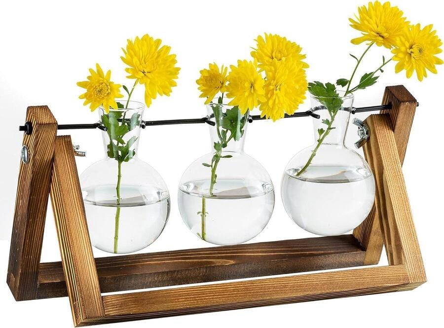 Voortplantingsstation Upgrade met Houten Standaard en Glazen Plantenpot Vintage Home & Office Decoratie Binnen tafel Middelpunt 3 Lampen Plantenplanter