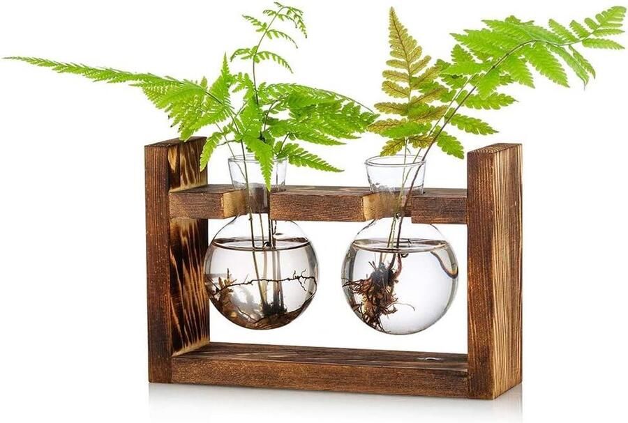 2 stuks Bolle Vaas Glazen Zoete Erwt Vaas voor Bloemen Terrarium Vaas Planter met Houten Rack Standhouders voor Groene Water Planten Geschikt voor Thuis Keuken Tafel Bureau Binnendecoratie