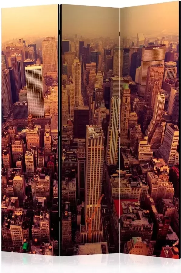 Artgeist Walljar Vouwscherm Bird Eye View Of Manhattan New York [Room Dividers]